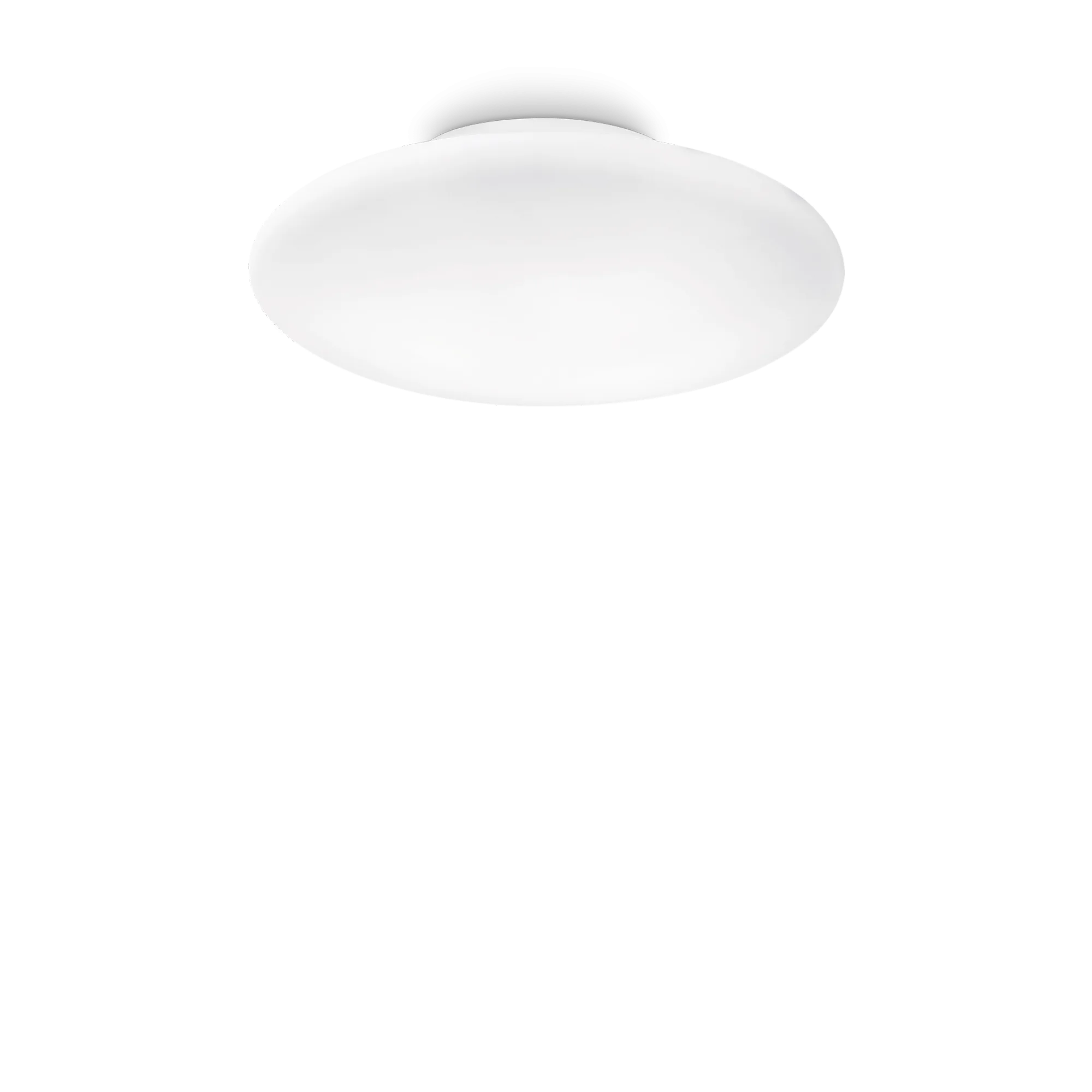 SMARTIES PL3 D50