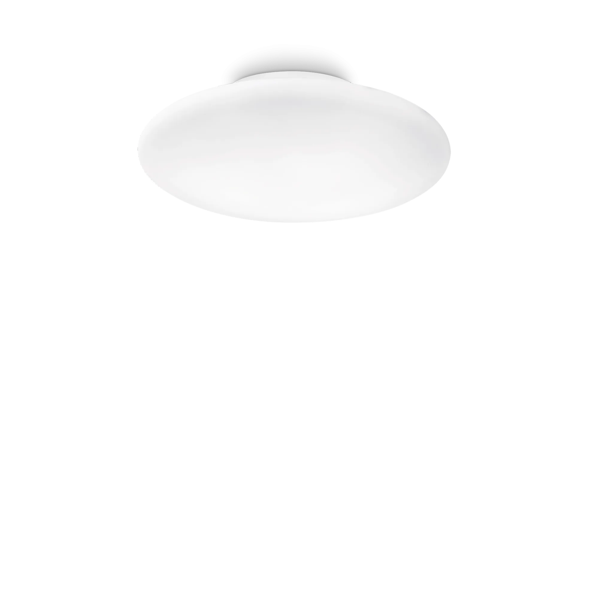 SMARTIES PL2 D42