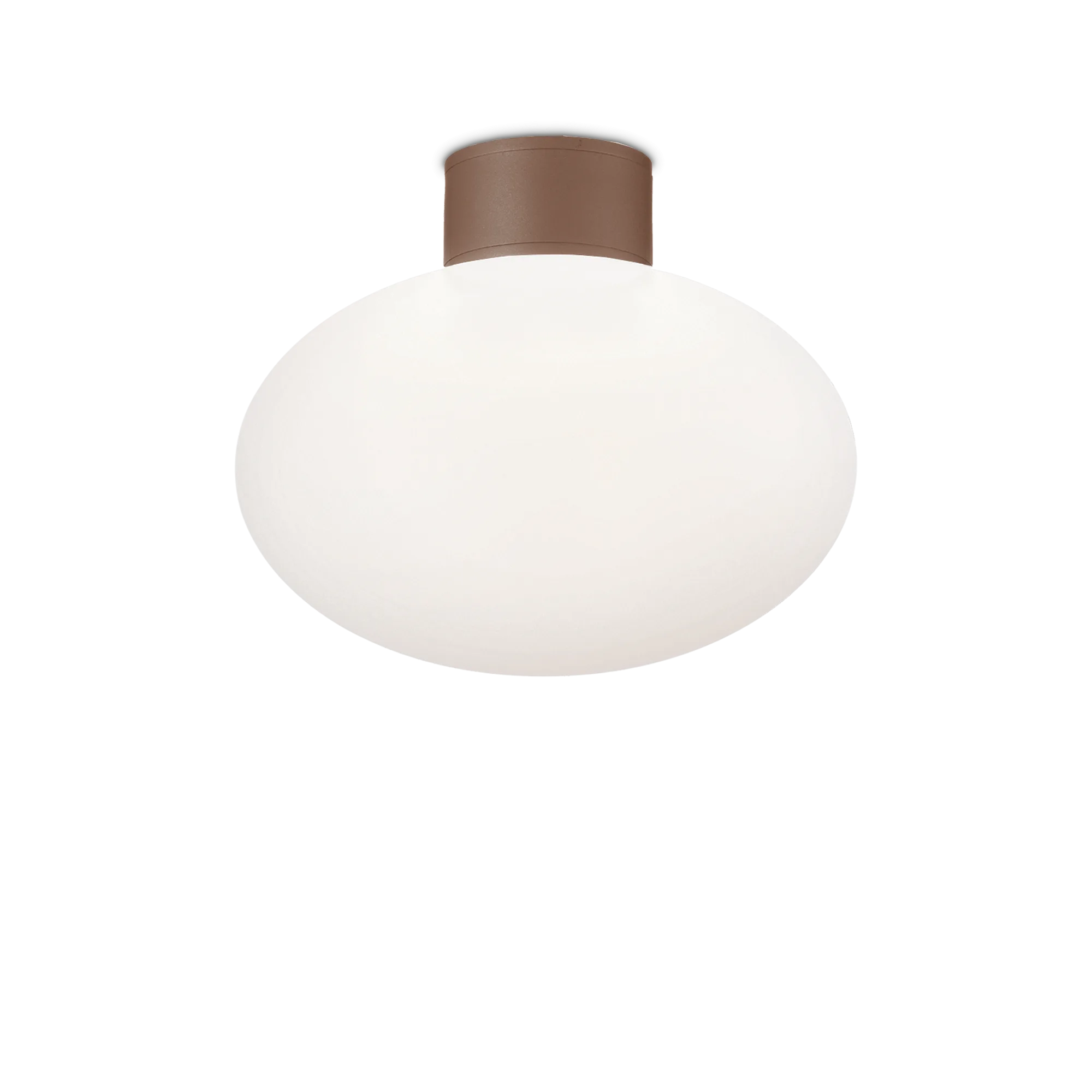 CLIO MPL1 COFFEE
