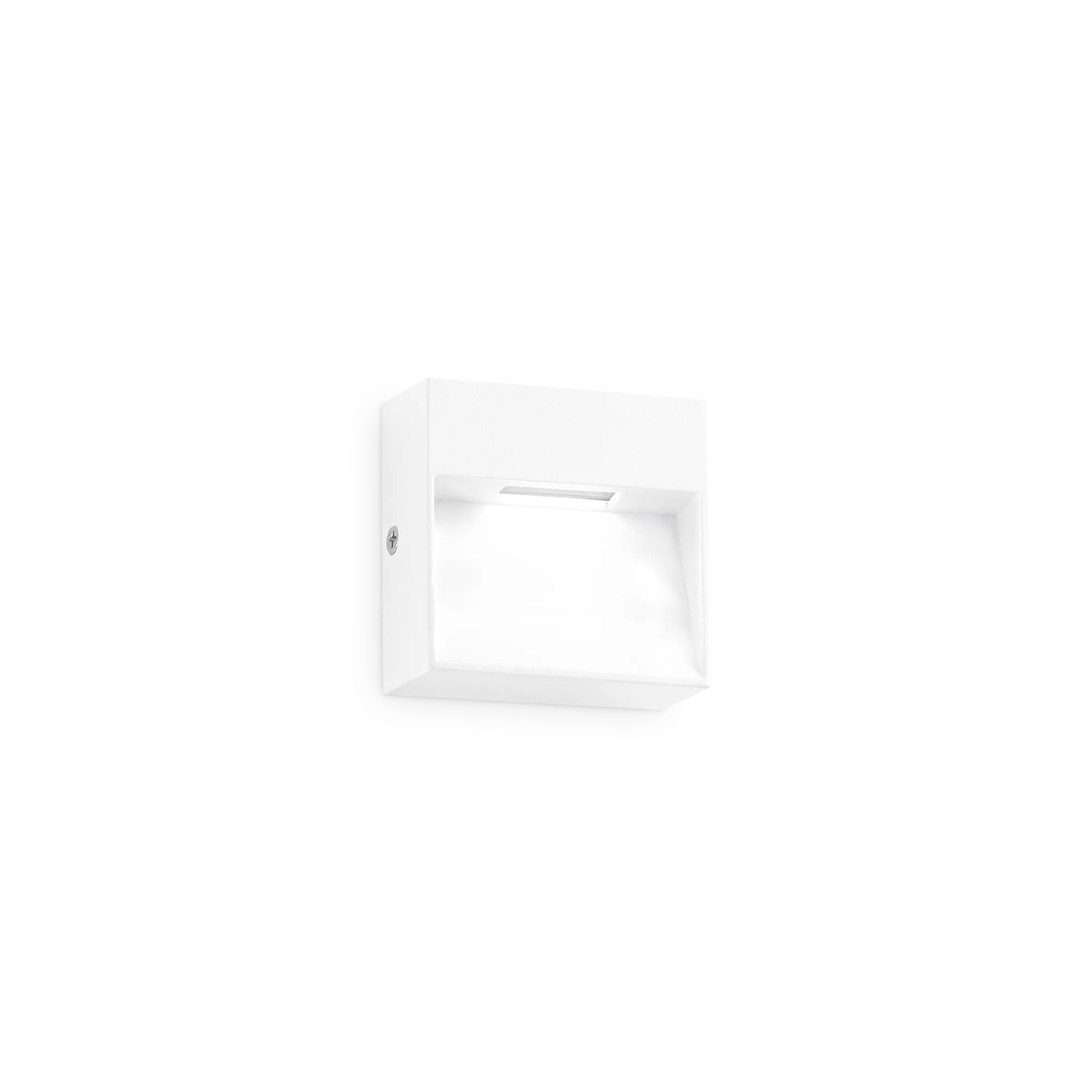 DEDRA AP BIG BIANCO