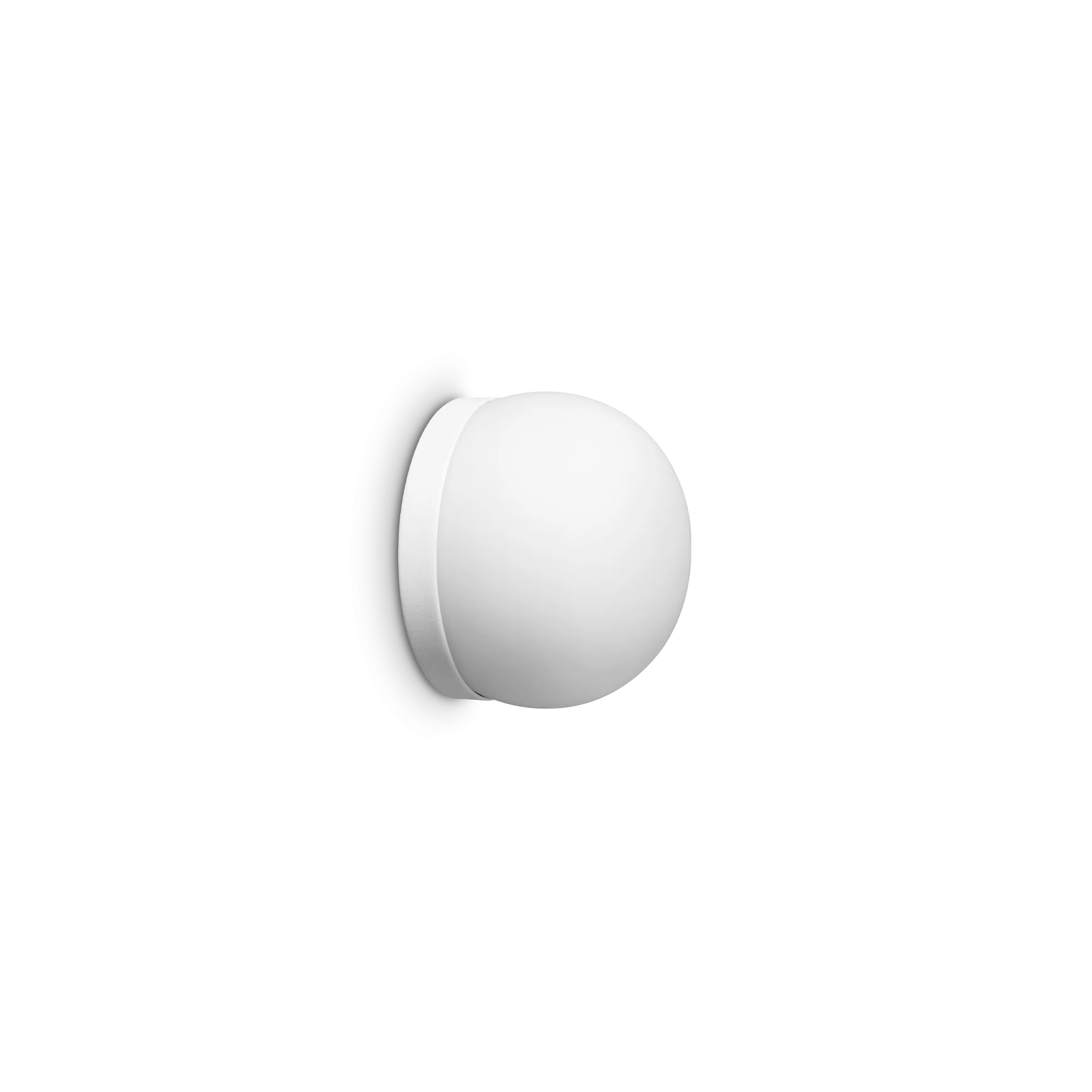 COTTON AP1 D10