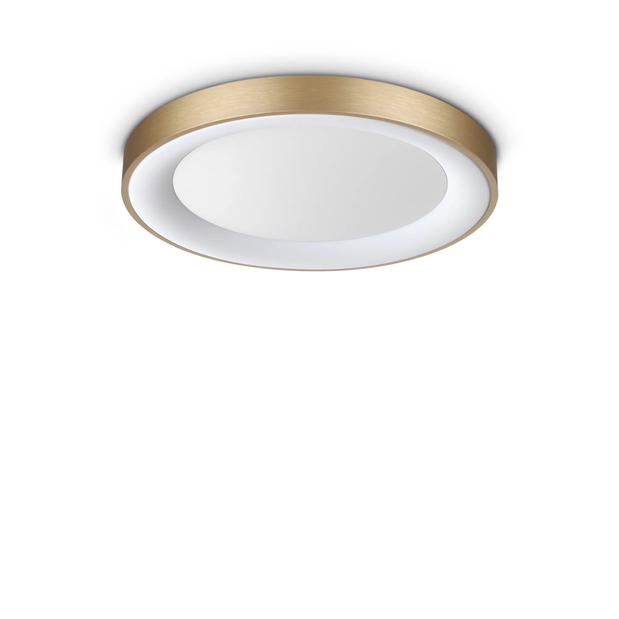 PLANET PL D50 OTTONE