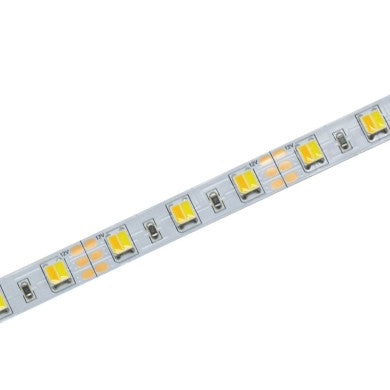 LED лента 5м 12W/м 12V DC IP33 CCT Ra80