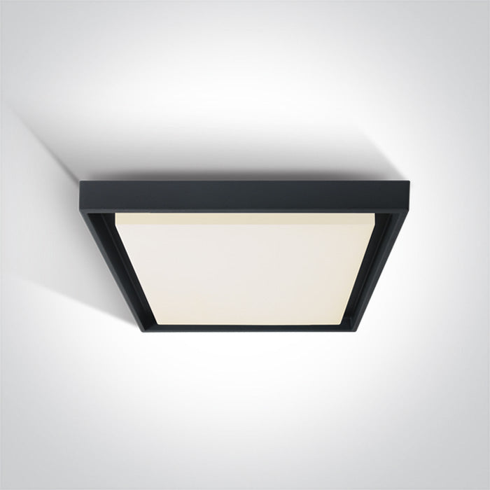 Антрацит Плафон LED 30W WW (топло бяло) IP54 230V