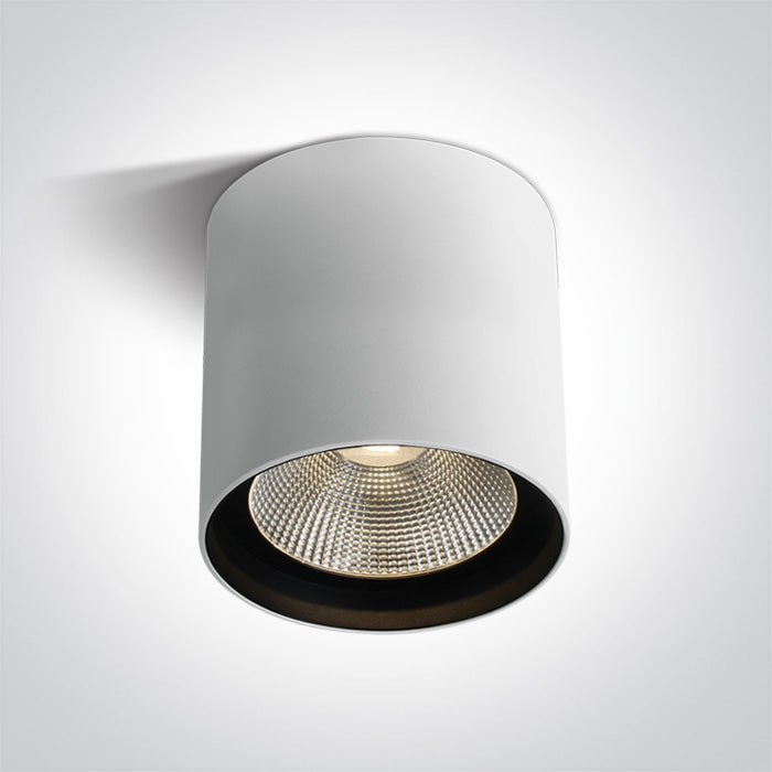 Бял COB 40W WW (топло бяло) IP65 230V Dark-Light (задълбочен оптичен конус)