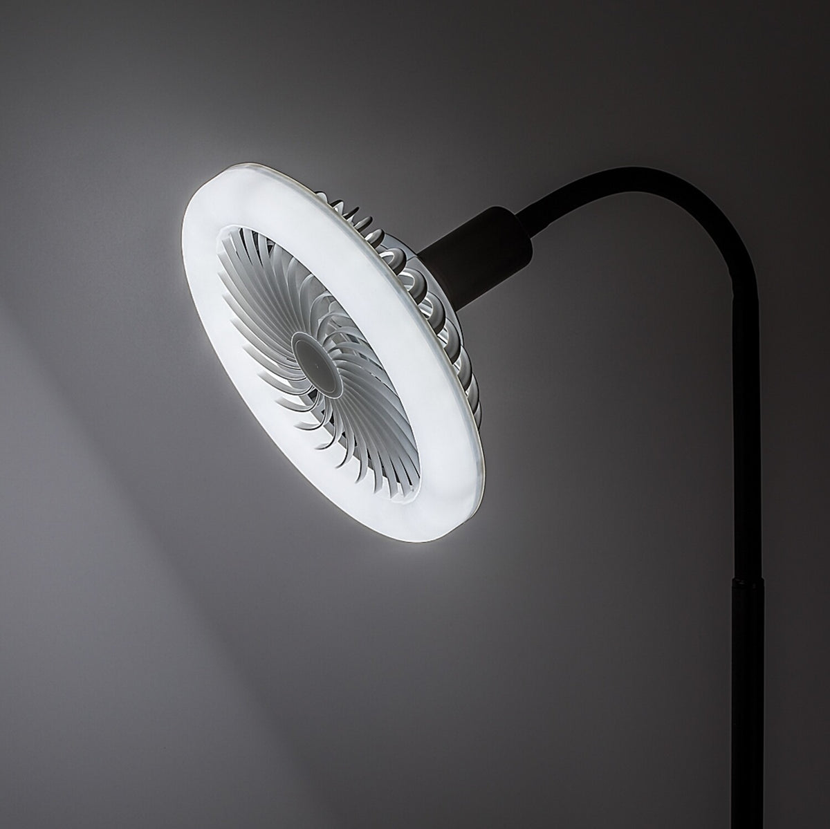 SMD-LED (79231)