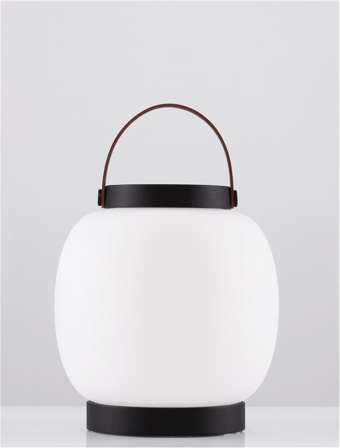 Външен аплик JIGRA 2W LED Тъмен антрацит алуминий и акрил IP54