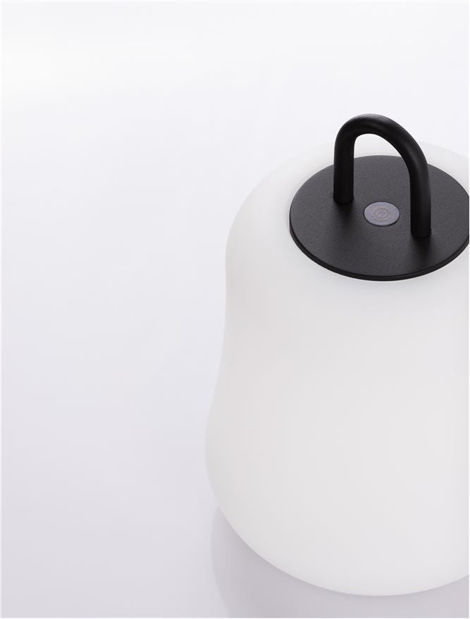 Външен аплик JIGRA 2W LED Тъмен антрацит алуминий и акрил IP54