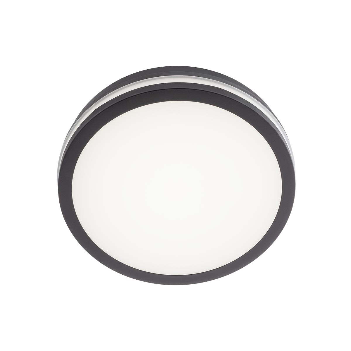 Плафон LED ISOLA 24W IP54 DG 3000/6500K TUYA Ro