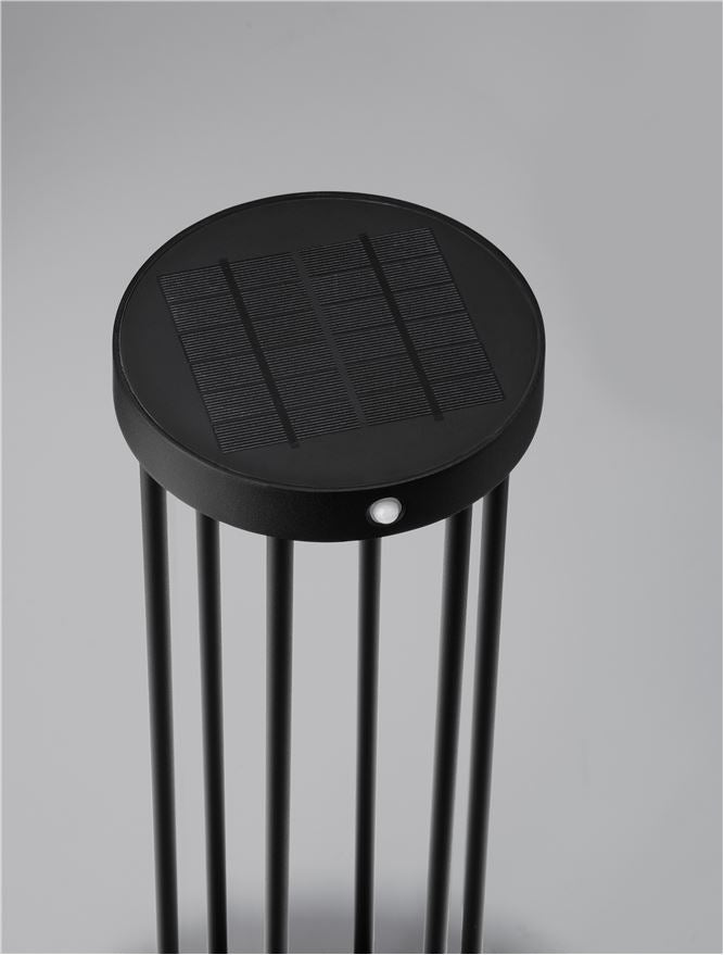Външен аплик AIGO LED 2W Тъмен антрацит алуминий и прозрачно стъкло със сензор ⌀16 H50см IP65