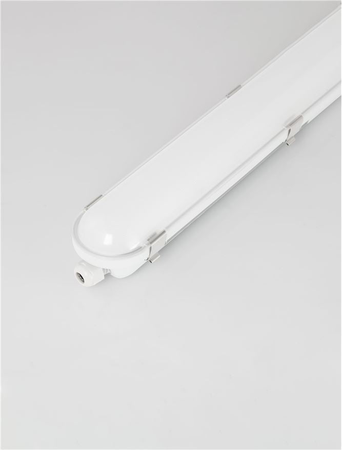 Техническо осветление DARMA 50W 4000K Бял IP65