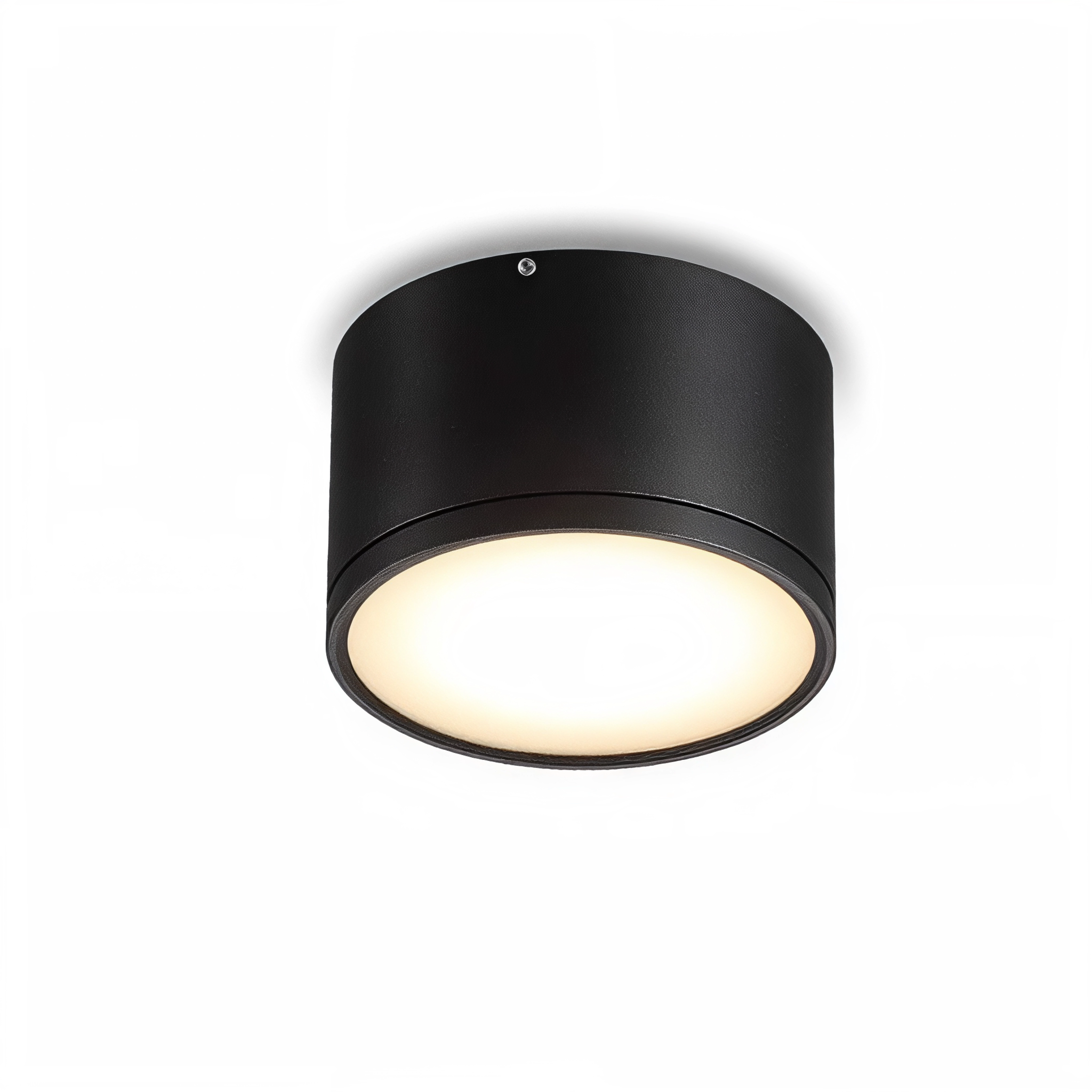 LED луна за открит монтаж Black Point L | 102mm | 12W