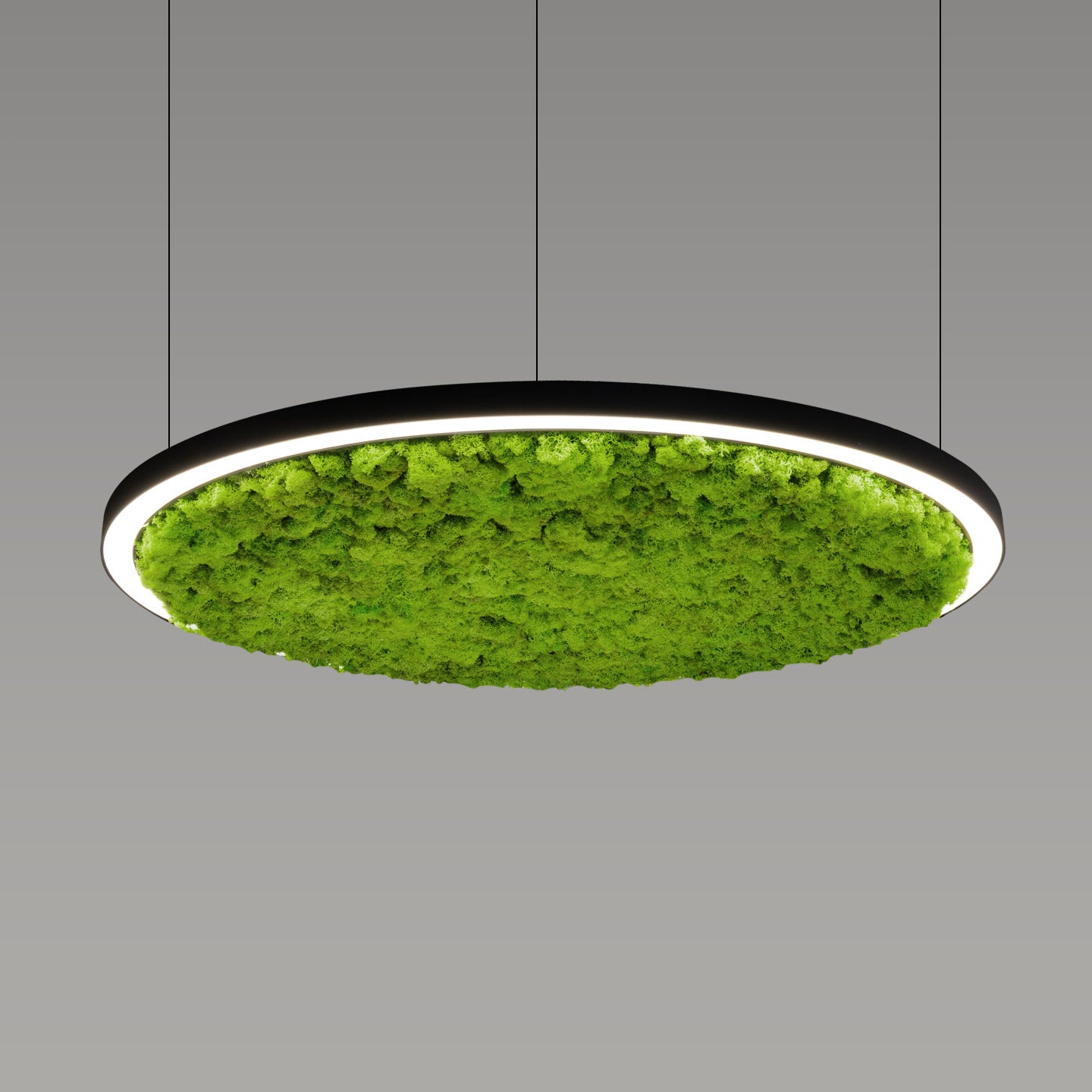 Акустична висяща LED лампа Cool Moss | Скандинавски мъх | 6 цвята