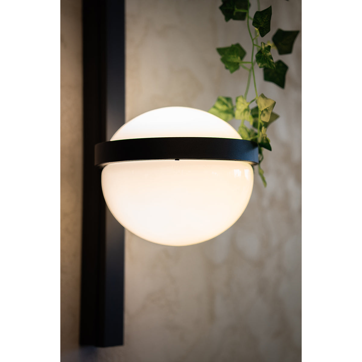 Стенен LED аплик Astro Pot Wall | Поставка за растение | 12W | Черен | 3000K