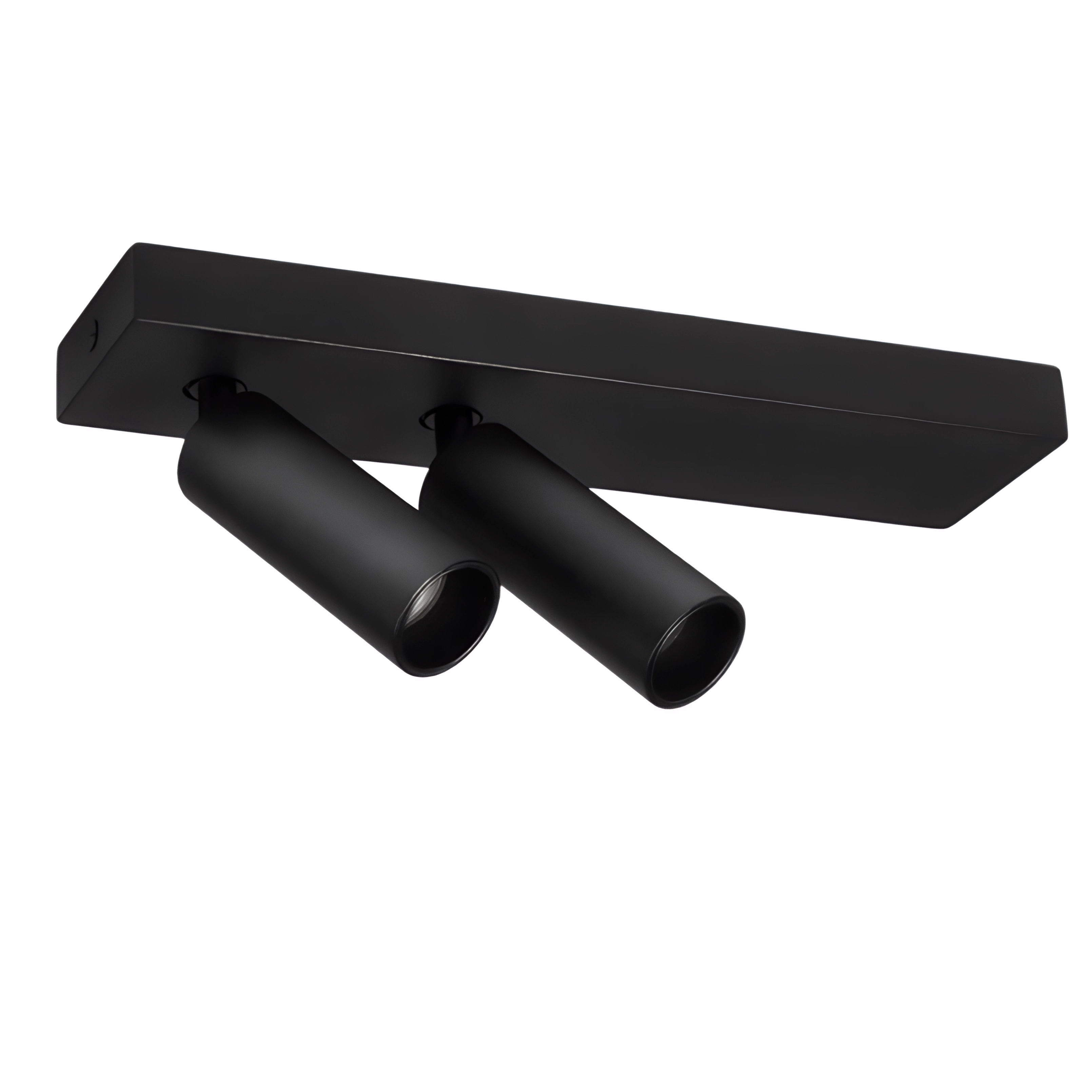 LED спот за външен монтаж Dodo | Насочваем | 2x6W | 3000K