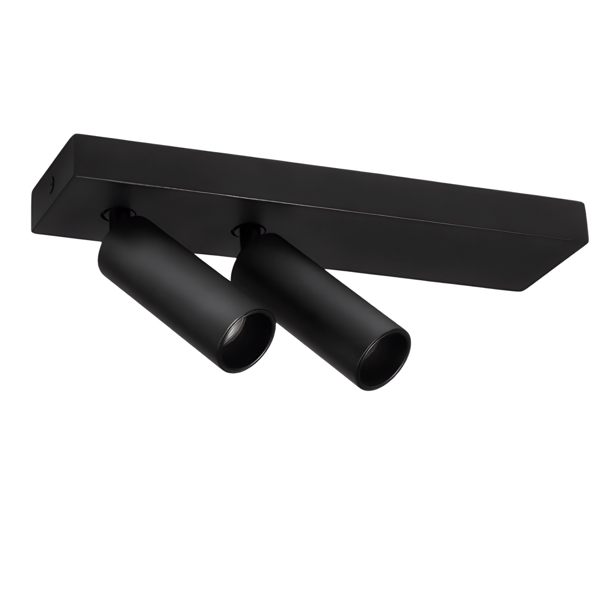 LED спот за външен монтаж Dodo | Насочваем | 2x6W | 3000K