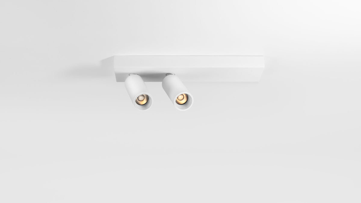 LED спот за външен монтаж Dodo | Насочваем | 2x6W | 3000K