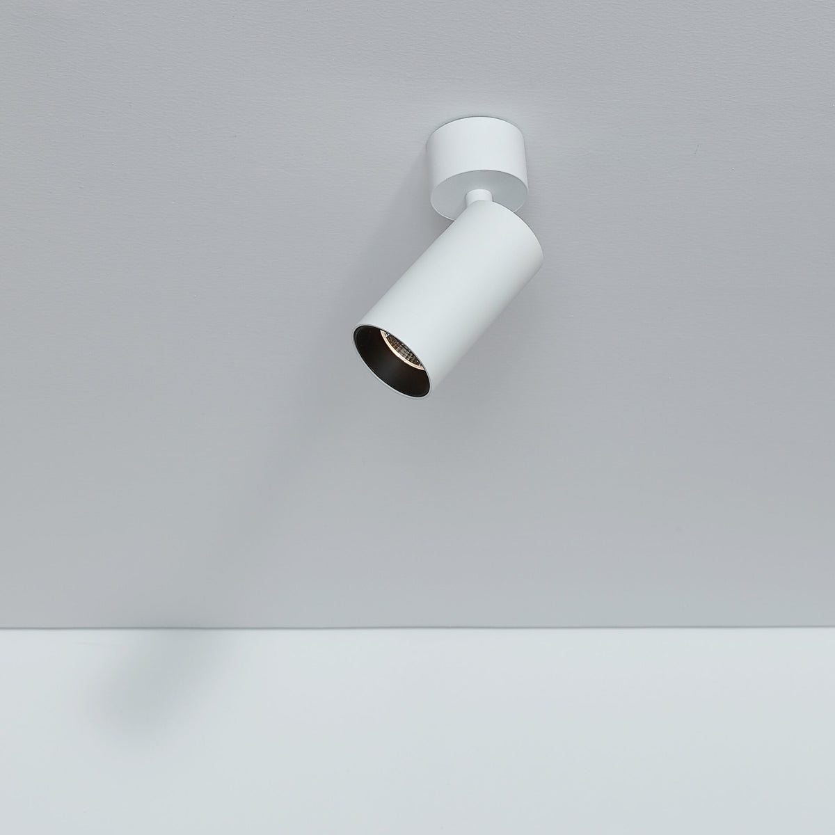 LED спот за външен монтаж Roll | Насочваем | 3000K | 8W - alternate view