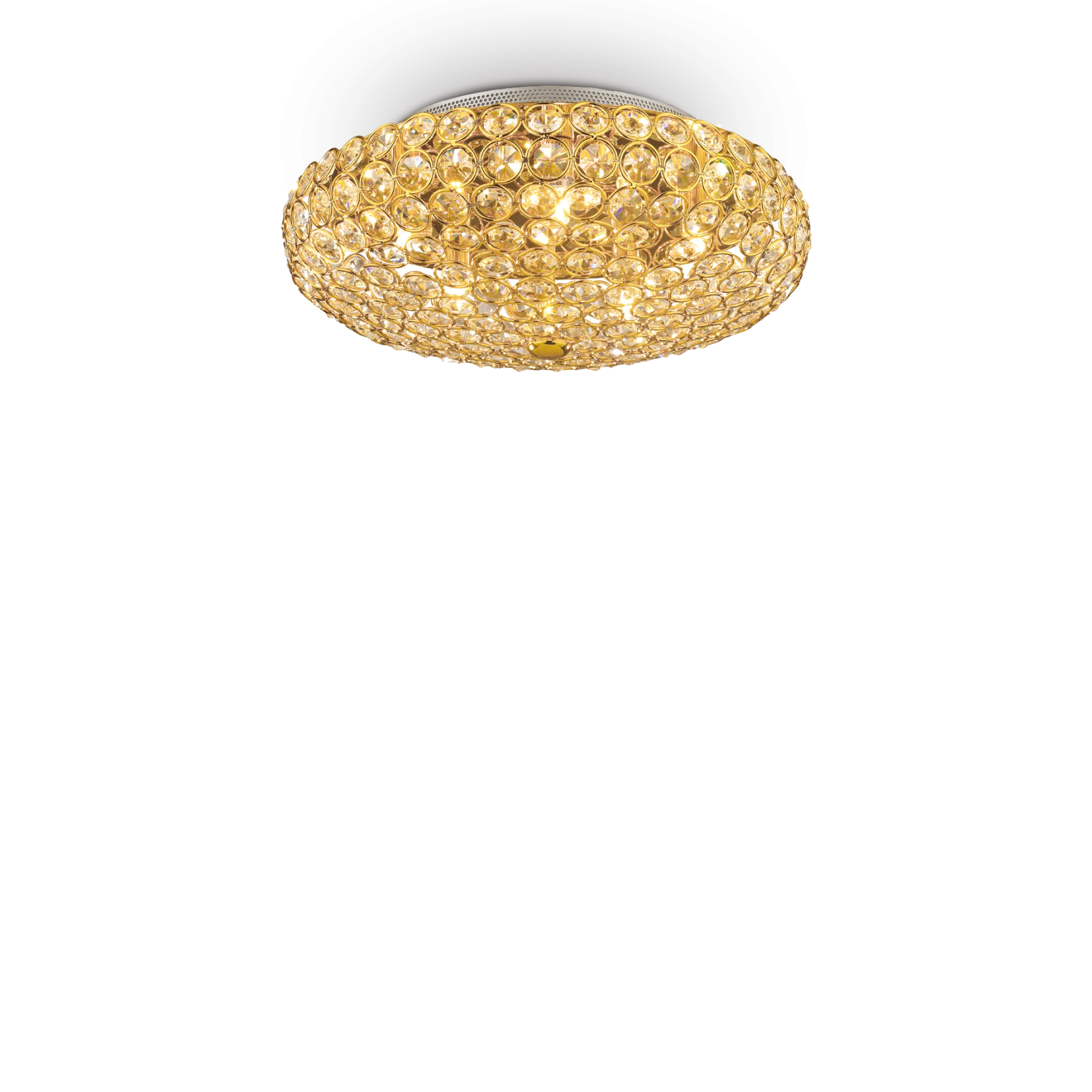 KING PL5 ORO