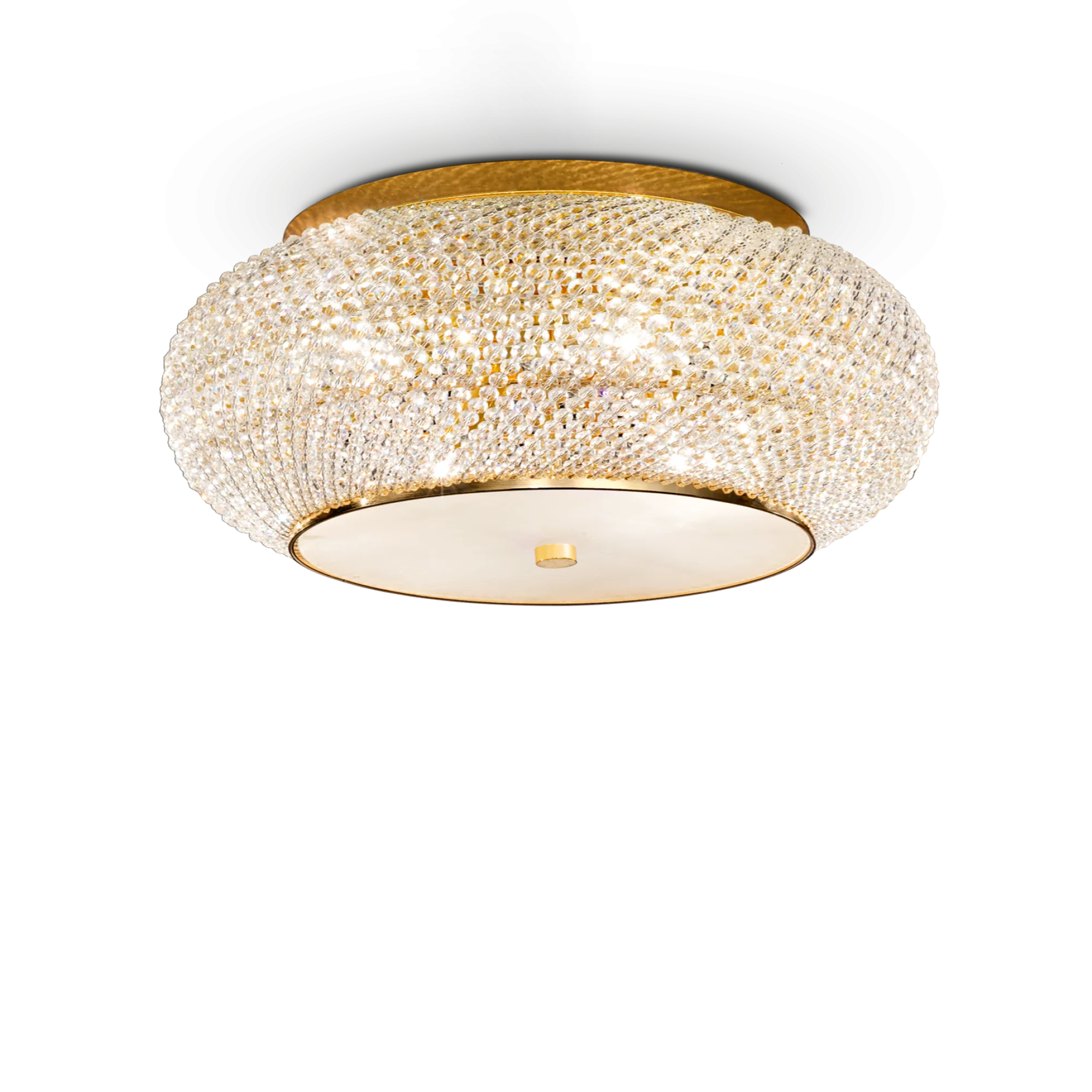 PASHA' PL14 ORO