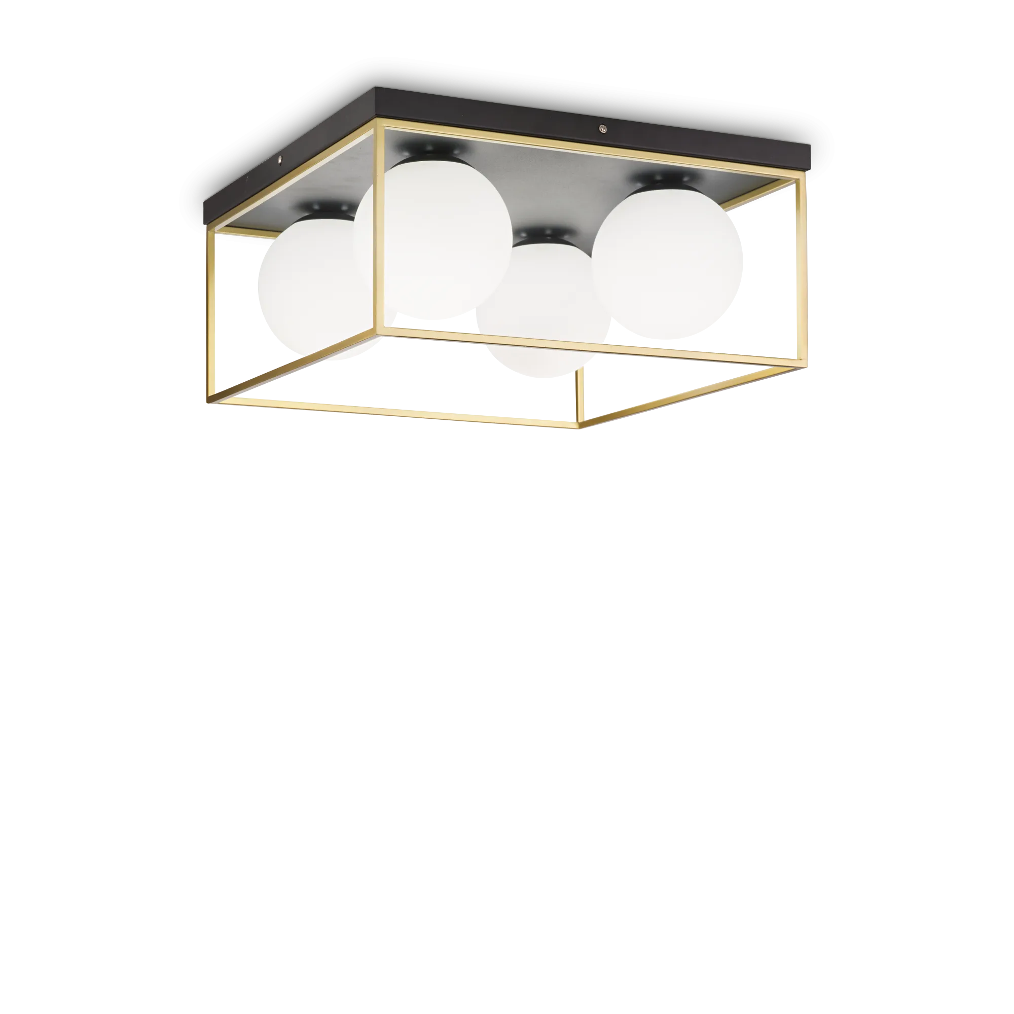 LINGOTTO PL4 OTTONE