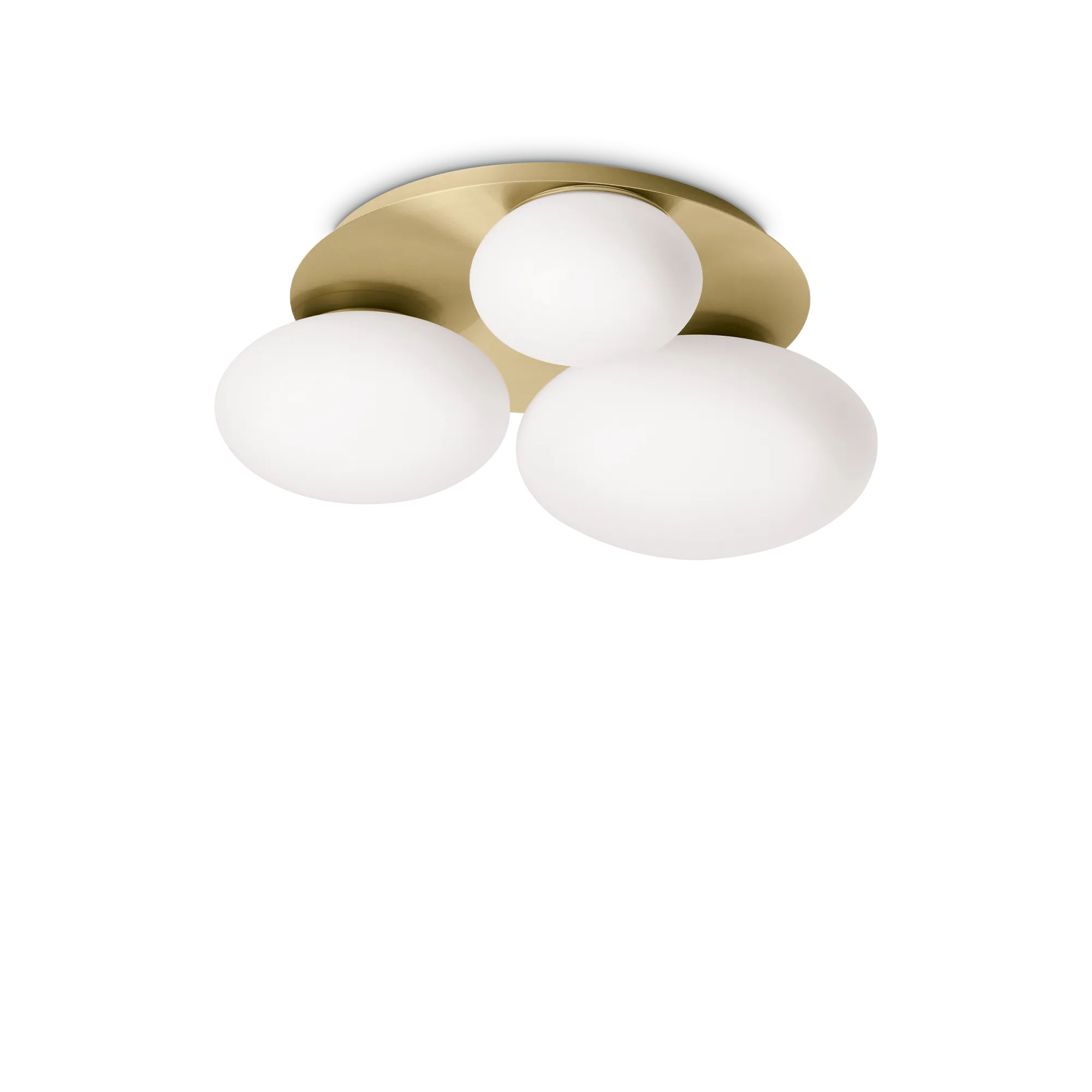 NINFEA PL3 OTTONE
