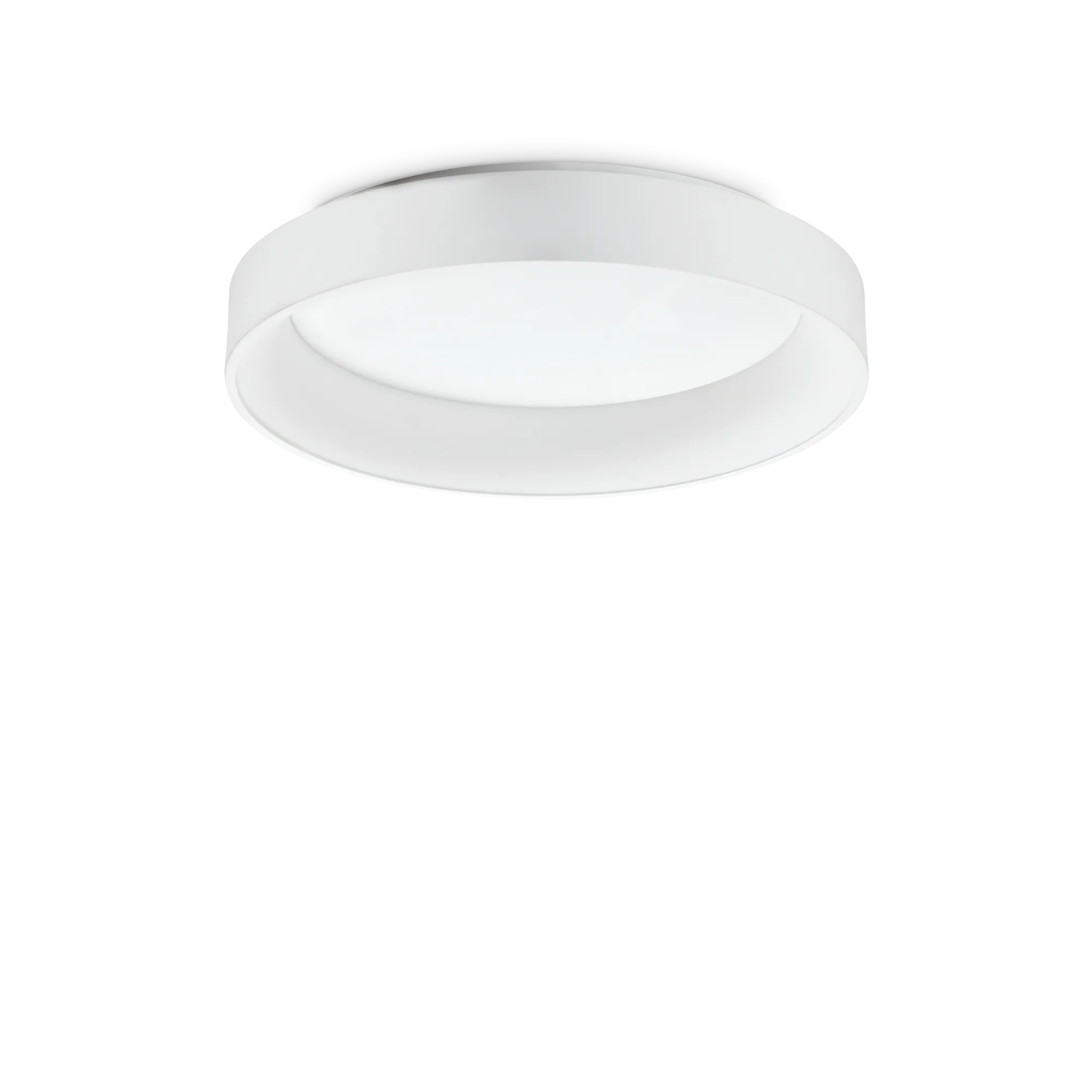 ZIGGY PL D060 BIANCO