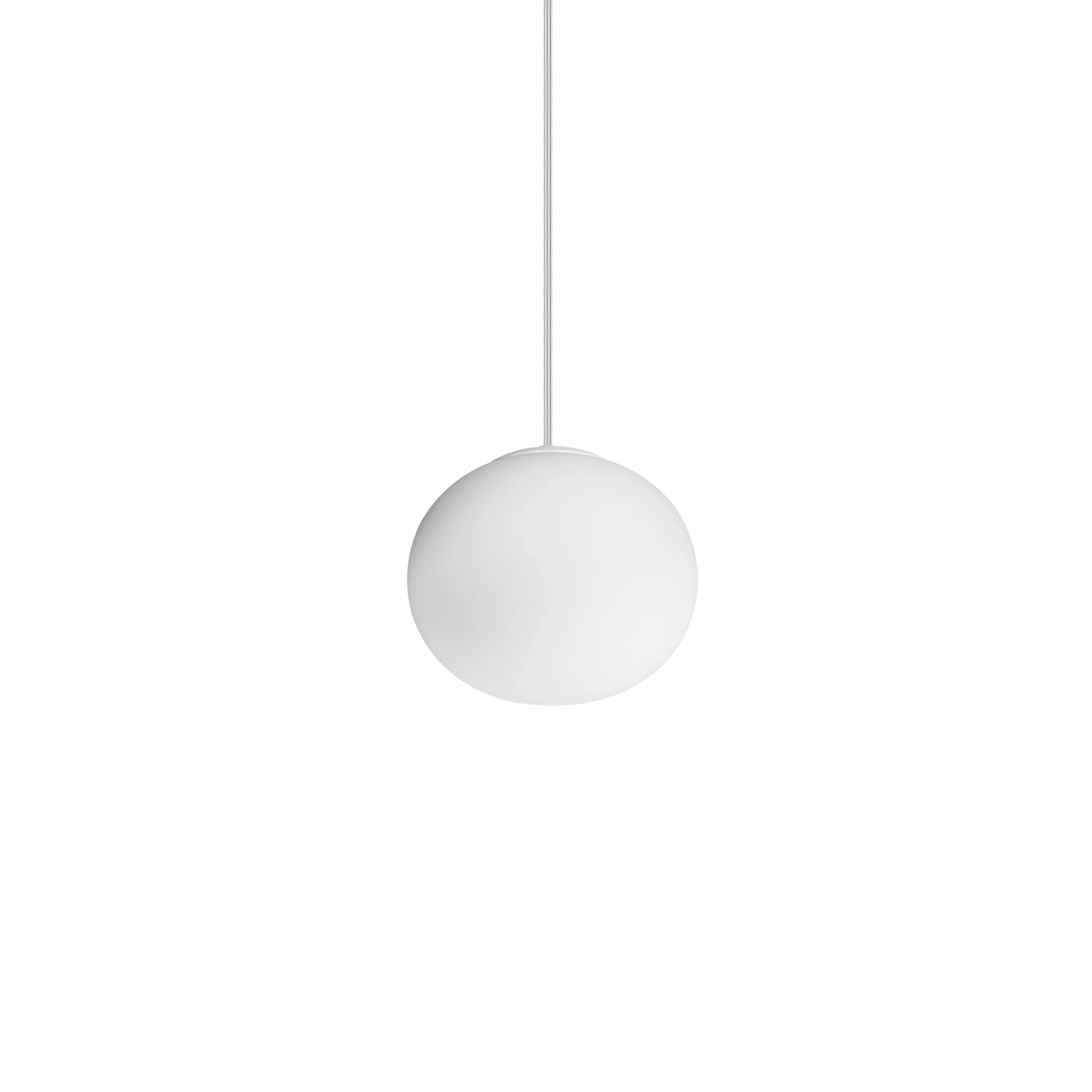 COTTON SP1 D13