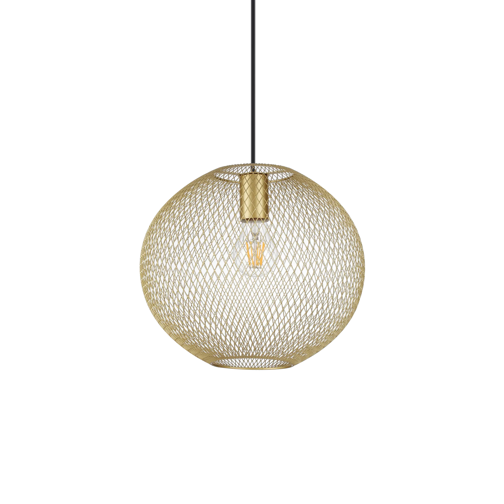 NET SP1 D29 ORO