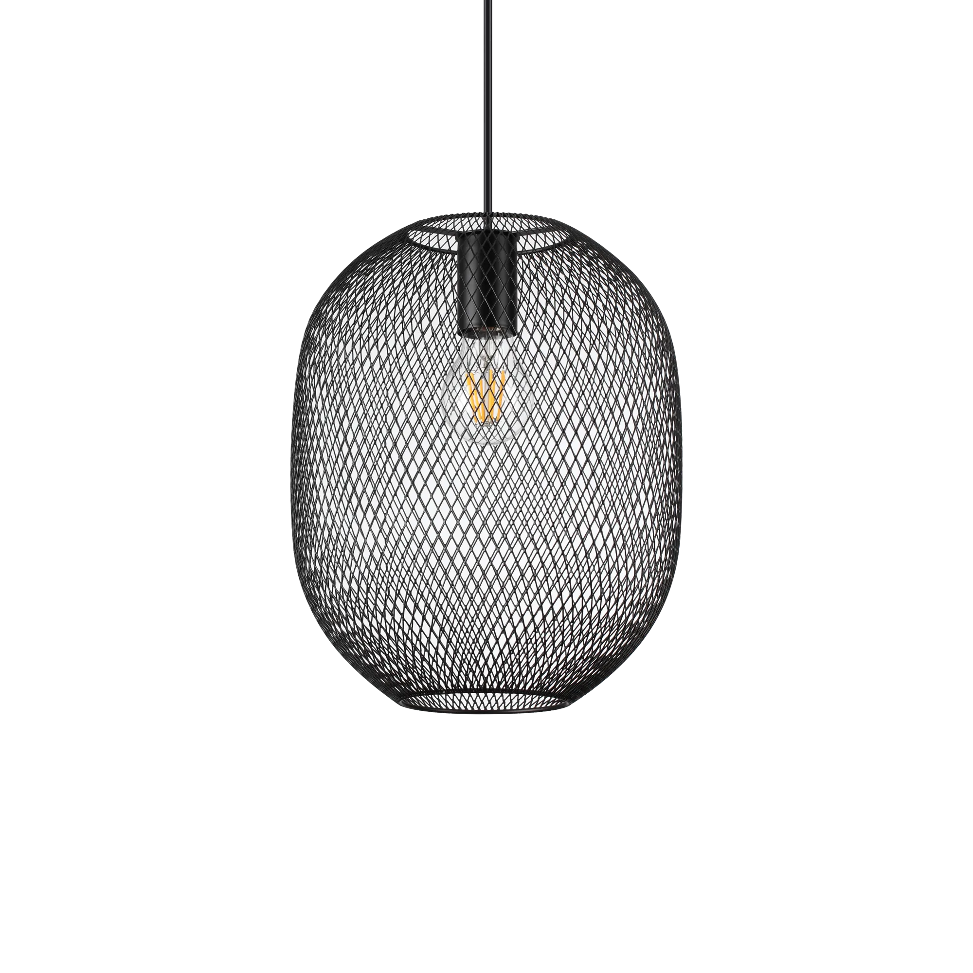 NET SP1 D24 NERO
