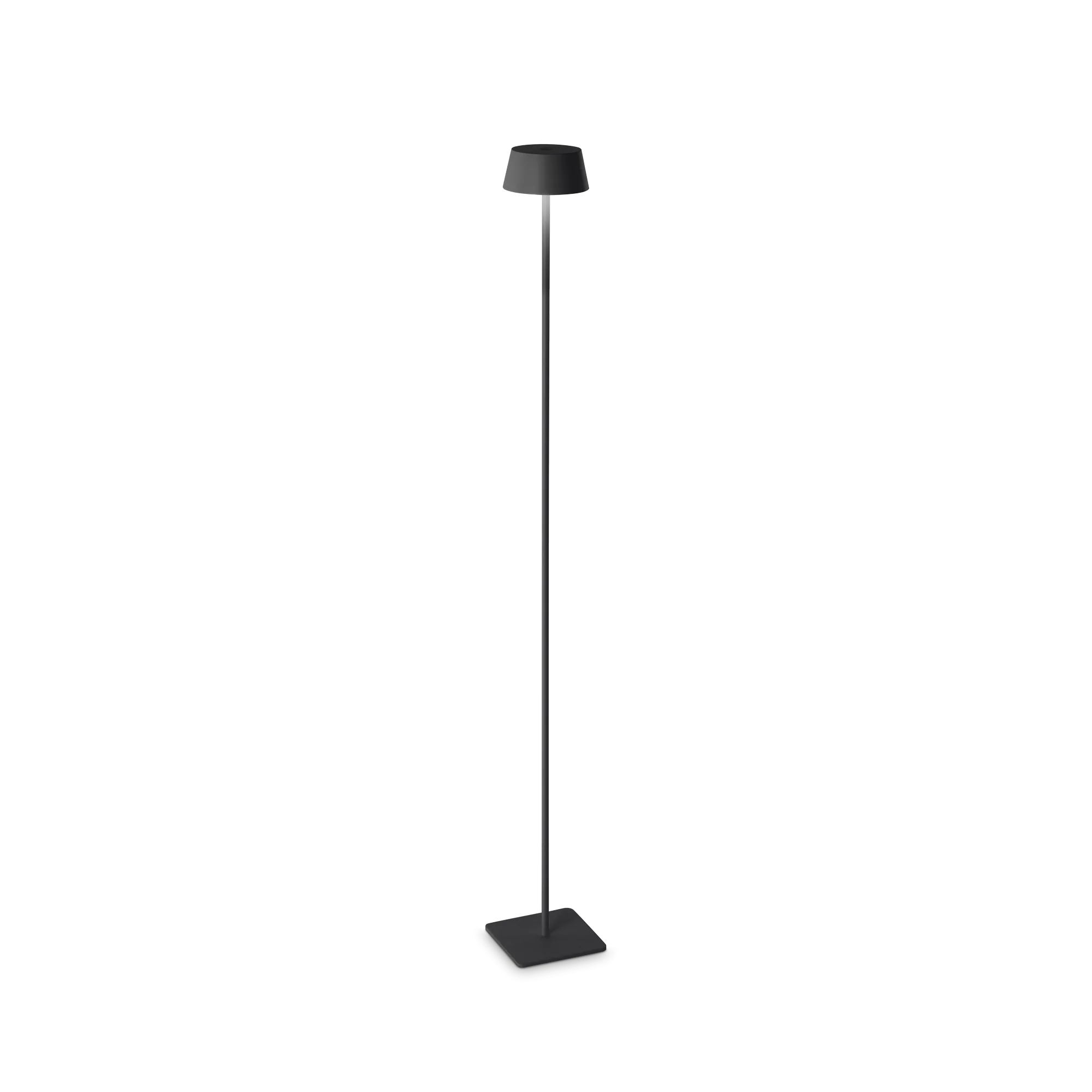 PURE PT NERO