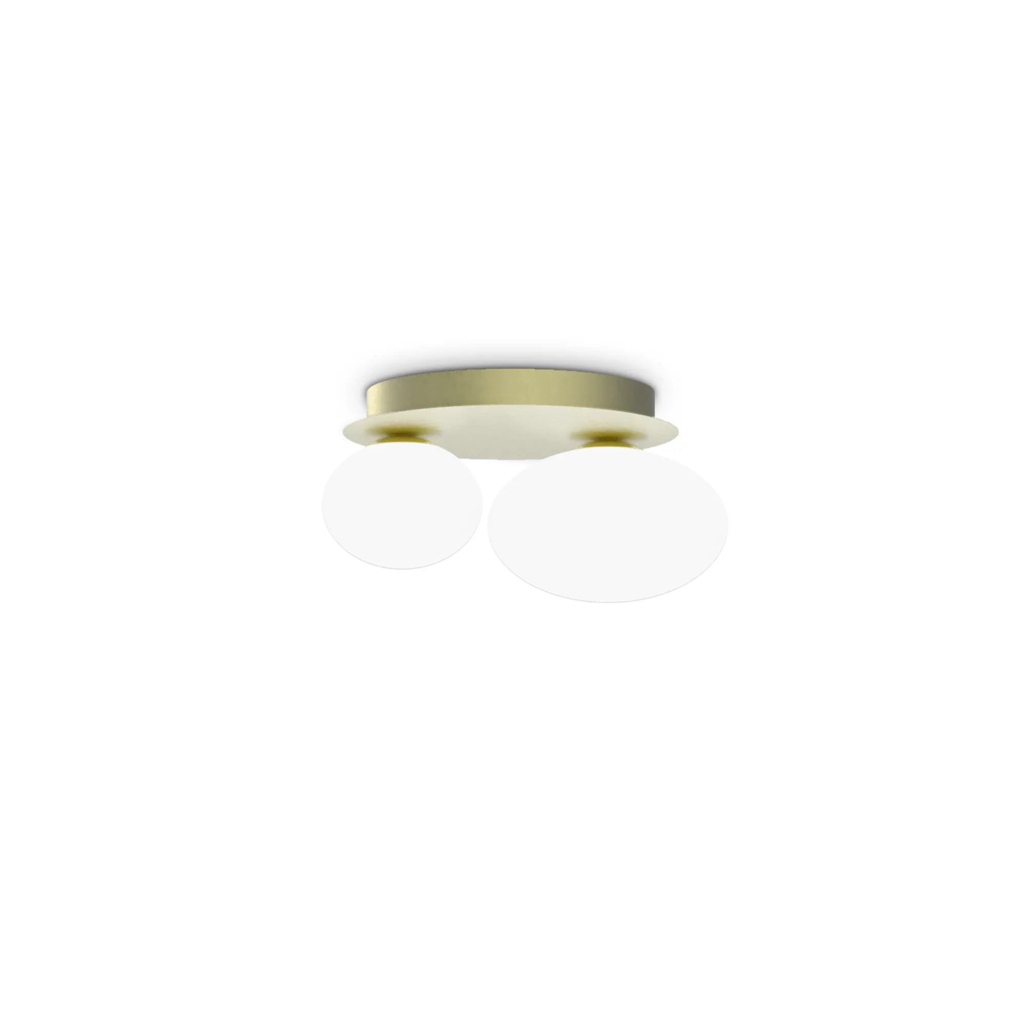 NINFEA AP2 OTTONE