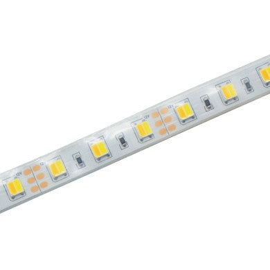 LED лента 5м 12W/м 12V DC IP65 CCT Ra80