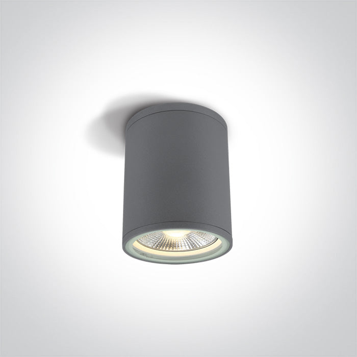 Сив CYLINDER PAR30 E27 20W IP54