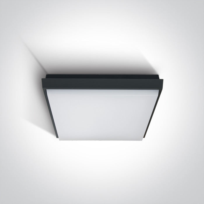 Антрацит Плафон 20W WW (топло бяло) IP54 230V