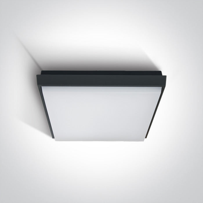 Антрацит Плафон 30W WW (топло бяло) IP54 230V