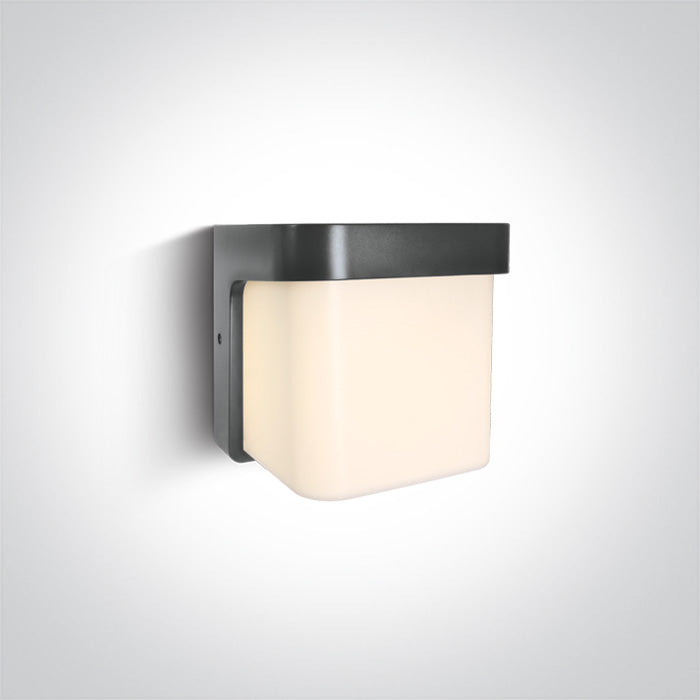 Антрацит WALL 12W CCT (регулируем цвят на светлината) IP54 230V
