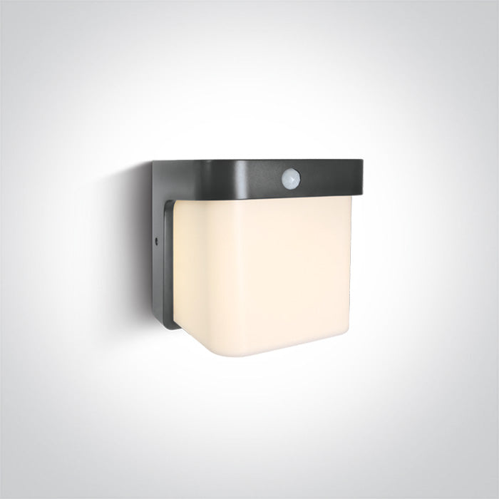 Антрацит WALL SENSOR 12W WW (топло бяло) IP54 230V