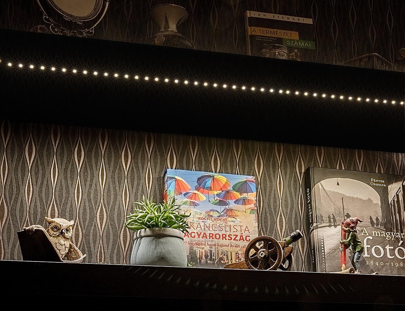 LED лента, 18W, 1450lm, 3000K, L500cm