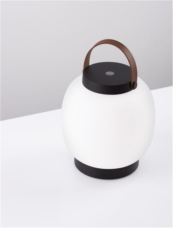 Външен аплик JIGRA 2W LED Тъмен антрацит алуминий и акрил IP54
