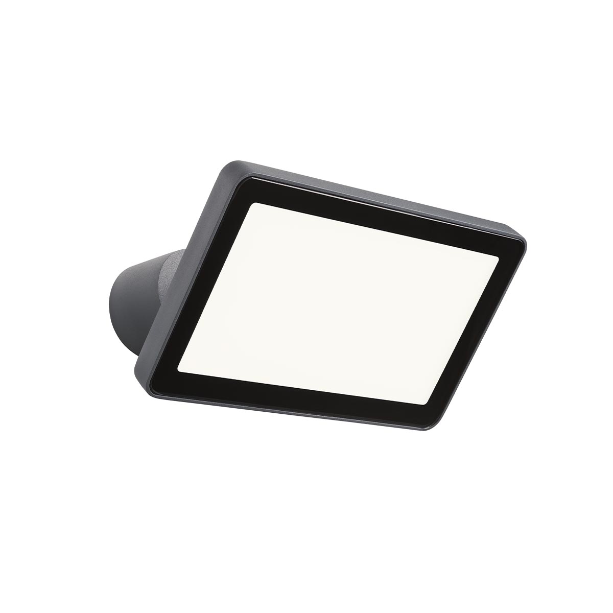 Floodlight FLUX PR LED 30W IP65 DG 3000K