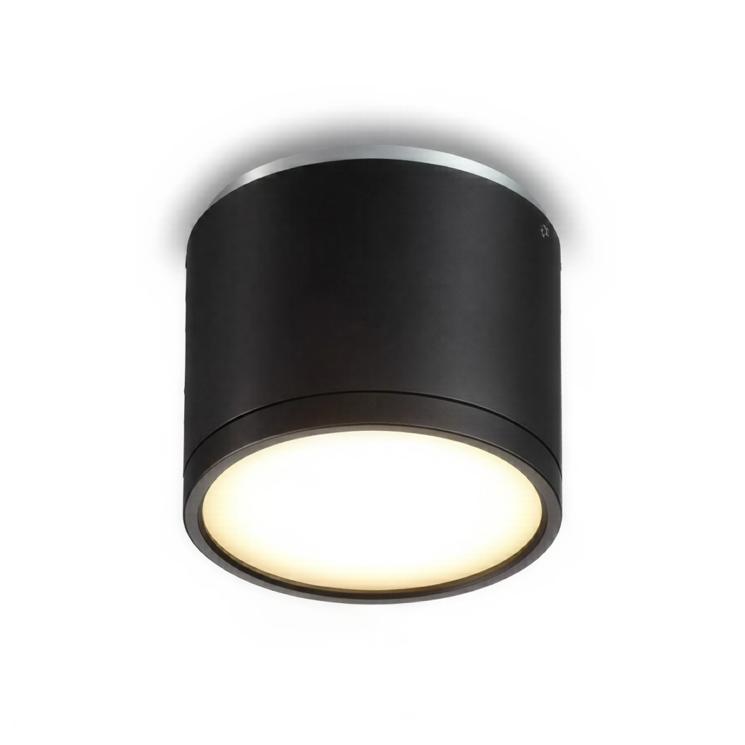 LED луна за открит монтаж Black Point L | 102mm | 12W