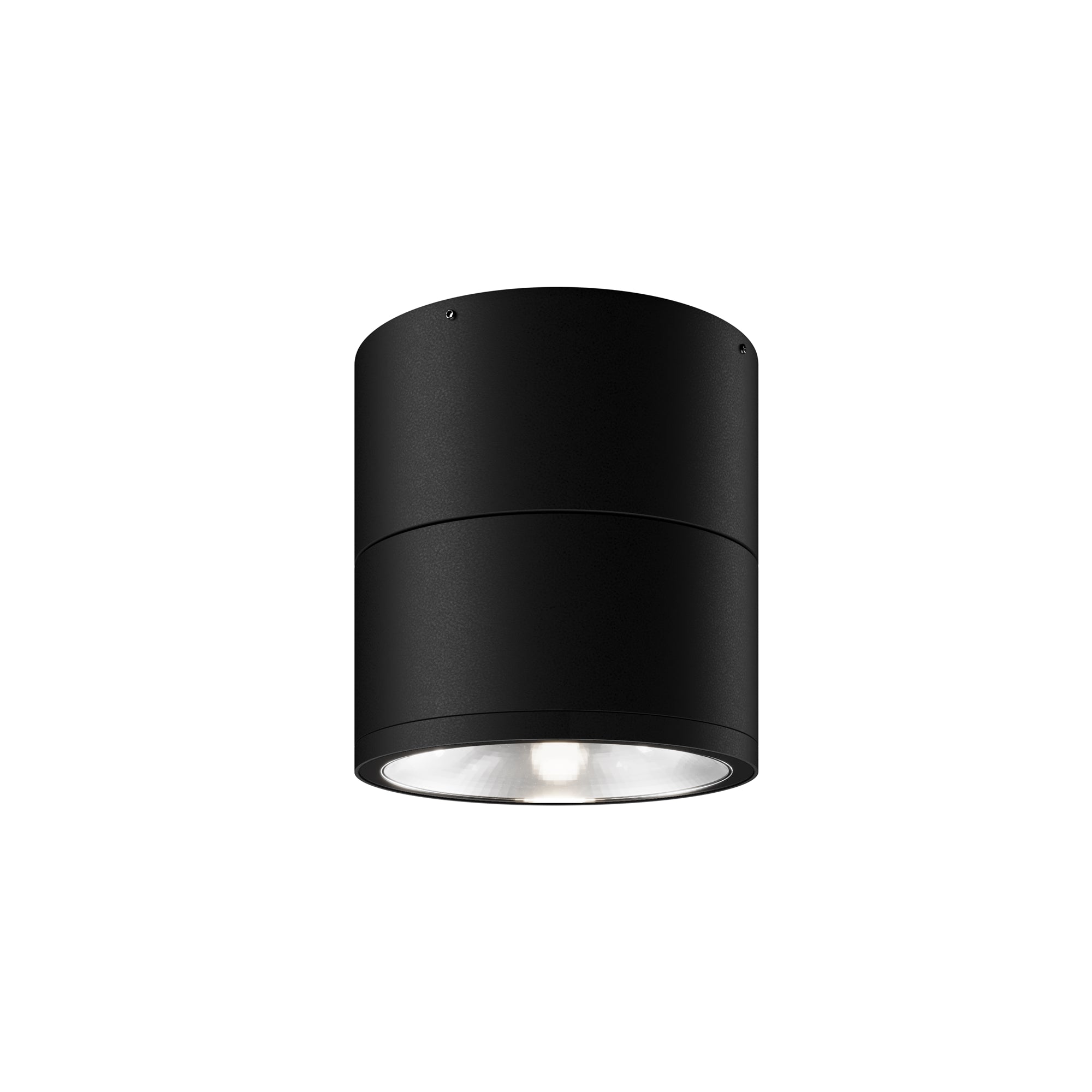 Таванно осветително тяло Outdoor O310CL-L12GF3K