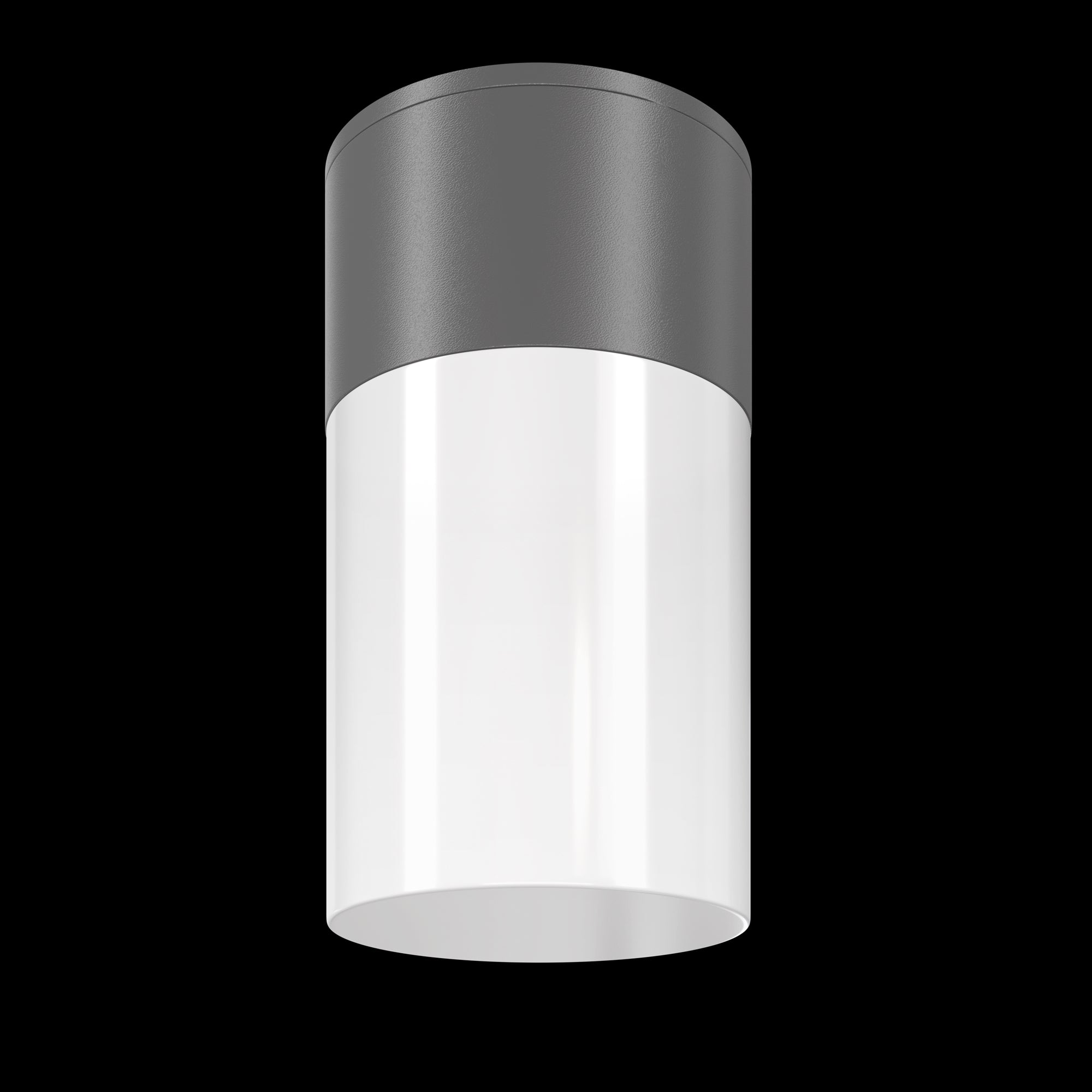 Таванно осветително тяло Outdoor O418CL-01GR