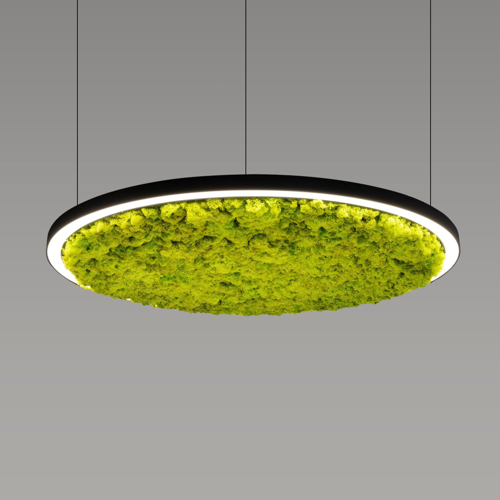 Акустична висяща LED лампа Cool Moss | Скандинавски мъх | 6 цвята