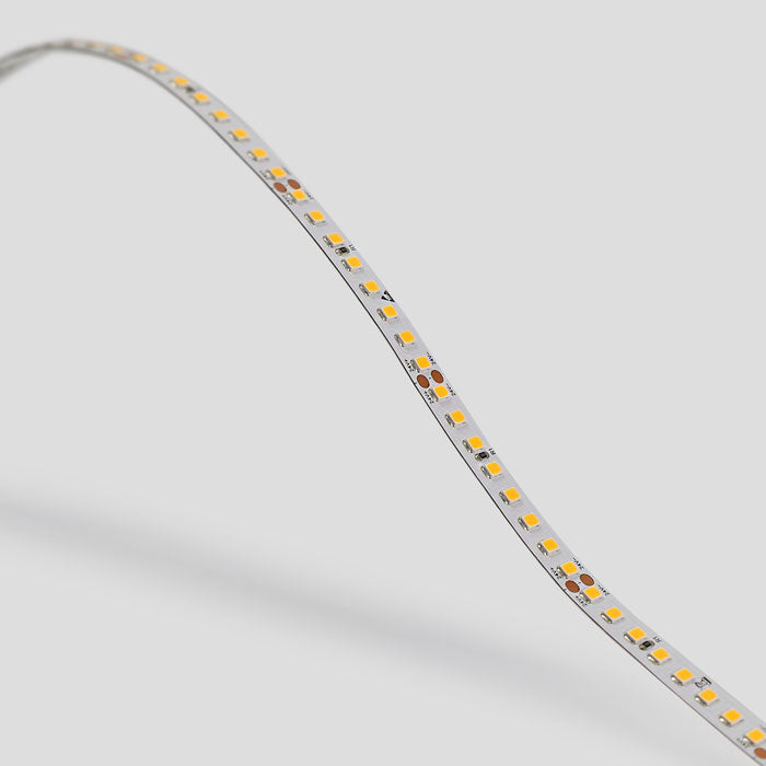 LED лента Proton 12W/m | IP20 | 160 LED/m | 24V | 5 метра | 3000K/4000K