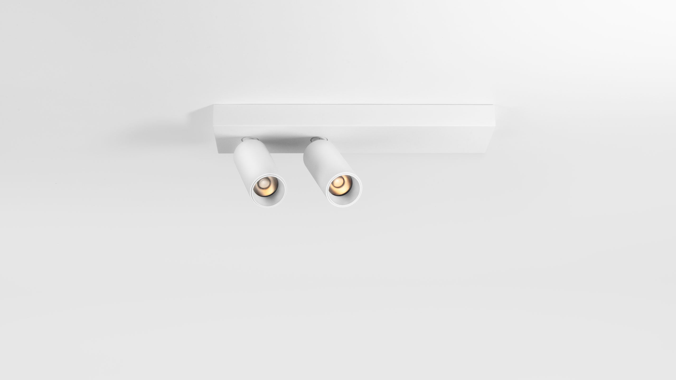 LED спот за външен монтаж Dodo | Насочваем | 2x6W | 3000K