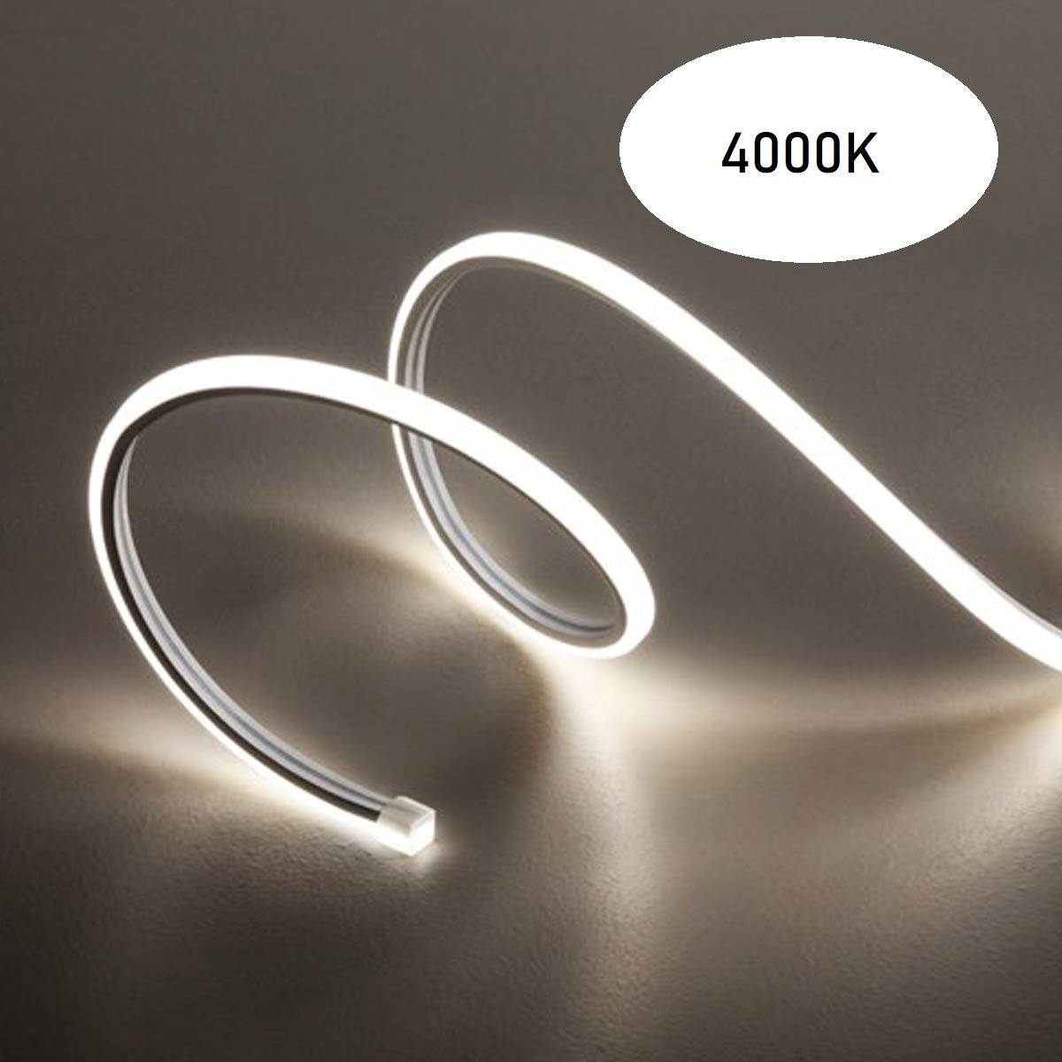 LED лента xsnake SNK10X10NW
